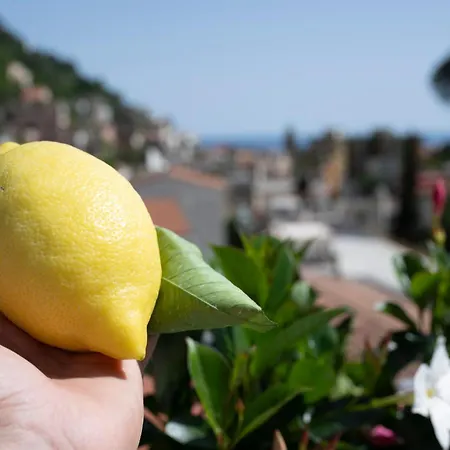 Affittacamere Valle D'amalfi
