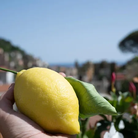 Valle D'amalfi Amalfi
